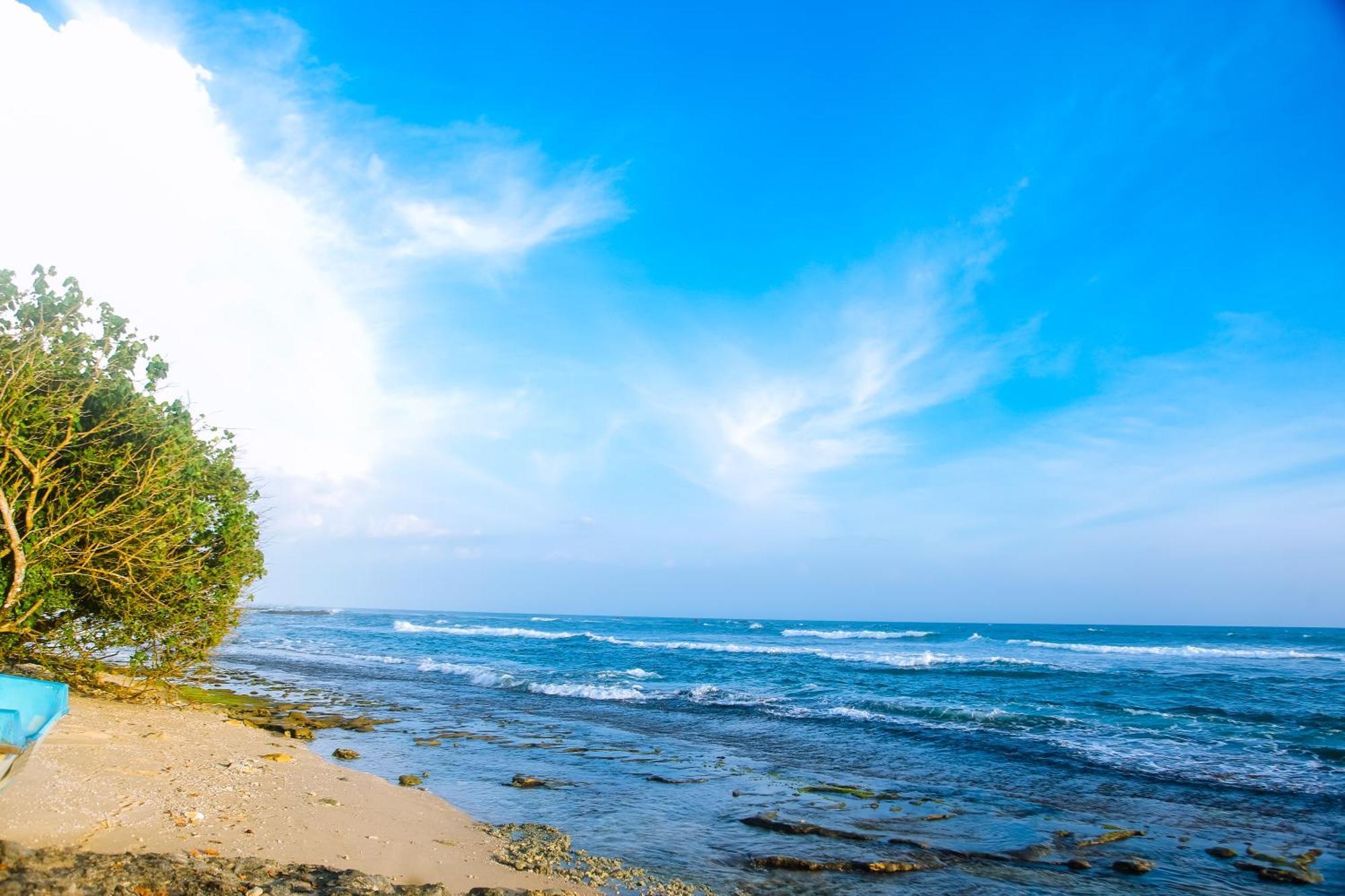 Mirissa Turtle Point Guest Ξενοδοχείο Εξωτερικό φωτογραφία